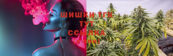 гидра Надым