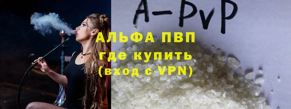 гидра Надым