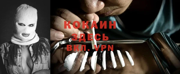 гидра Надым