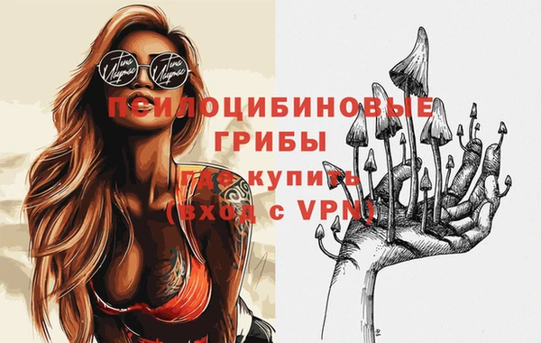 гидра Надым