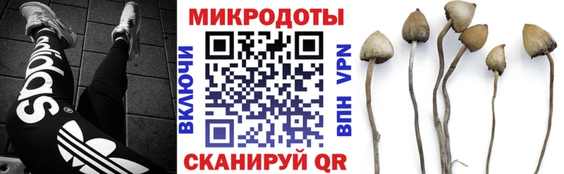 закладки  Полтавская  Галлюциногенные грибы Magic Shrooms 